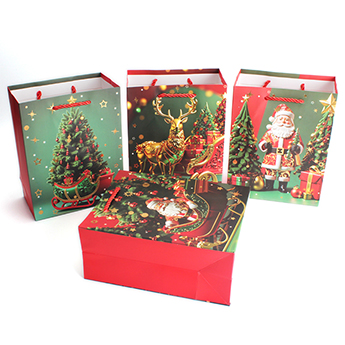 Christmas Gift Bag