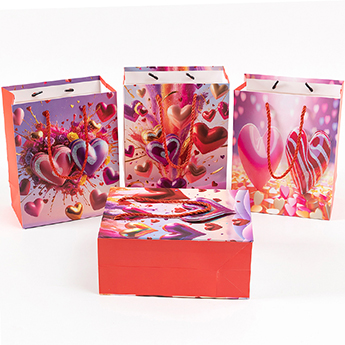 Valentine's Day Gift Bag